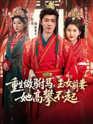 重生做驸马，玉女前妻她高攀不起短剧（79集重生短剧免费看全集）