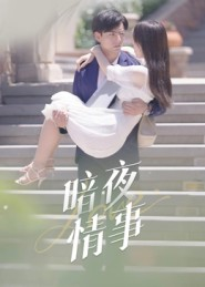 暗夜情事短剧（100集都市情感短剧完整版免费观看）