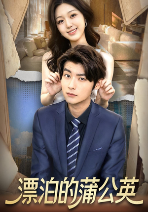 漂泊的蒲公英短剧（60集励志短剧高清免费看全集）