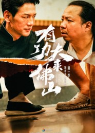 有功夫来佛山短剧（12集功夫短剧高清免费看全集）