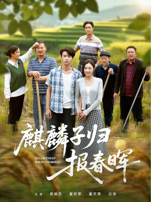 麒麟子归报春晖短剧（36集温情家庭短剧免费看完整版）