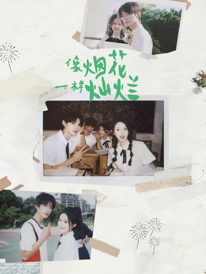 像烟花一样灿烂短剧（60集治愈短剧高清视频在线看）