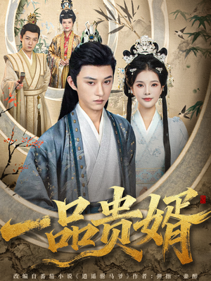 一品贵婿短剧（80集古装短剧高清全集免费看）