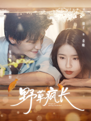 野草疯长短剧（71集现实短剧高清全集免费看）