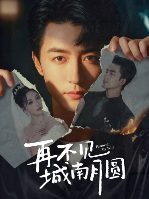 再不见城南月圆短剧（60集情感短剧超清全集在线看）