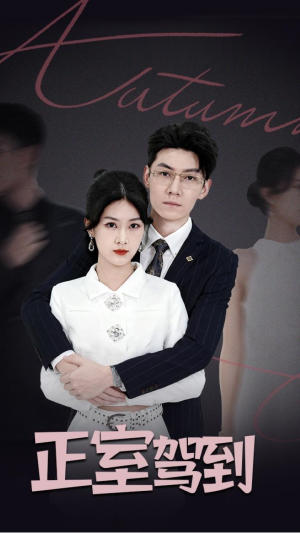 正室驾到短剧（35集情感纷争短剧在线畅享全集）