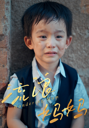 流浪妈妈短剧（30集家庭短剧高清全集免费看）