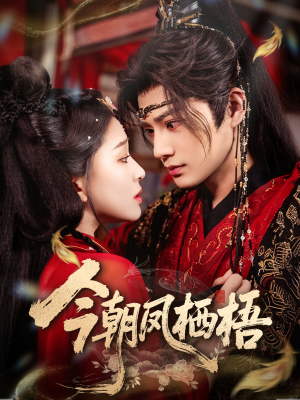 今朝凤栖梧短剧（68集古装短剧完整版免费看）