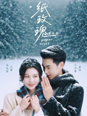纸玫瑰第二部短剧（80集情感都市短剧在线看全集）