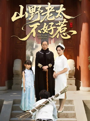 奶奶一脚震全城短剧（64集玄幻冒险短剧免费在线看）