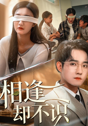 相逢却不识短剧（77集都市短剧完整版免费看）