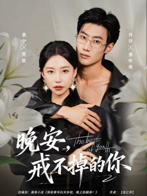 晚安，戒不掉的你短剧（68集都市温情短剧全集免费观看）