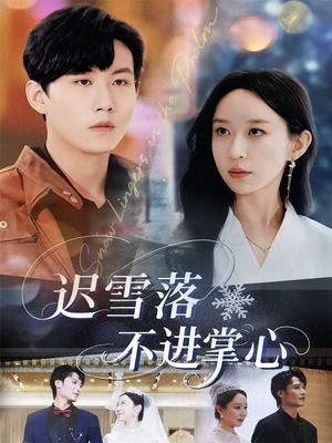 迟雪落不进掌心短剧（79集都市情感短剧完整版免费看）