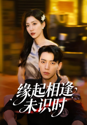 缘起相逢未识时短剧（57集都市情感短剧免费看全集）