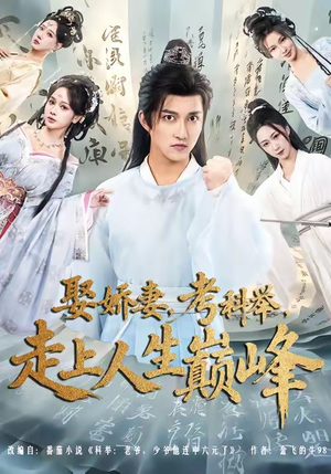 娶娇妻，考科举，走上人生巅峰短剧（80集古装短剧在线看完整版）