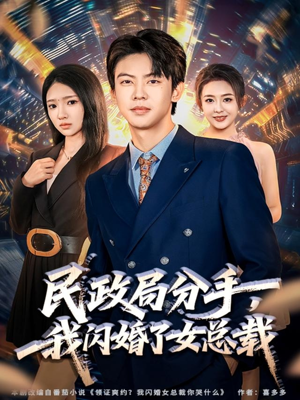 民政局分手，我闪婚了女总裁短剧（72集都市情感短剧免费畅看全集）