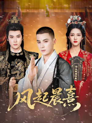 风起晨熹短剧（63集权谋短剧在线看完整版）