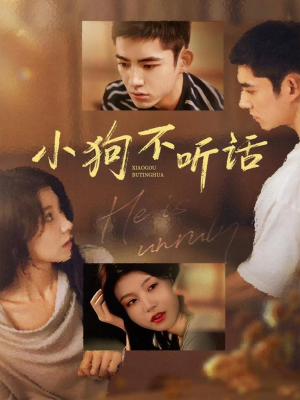 小狗不听话短剧（70集萌宠短剧在线免费看高清版）