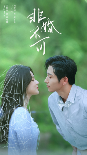 非婚不可短剧（65集都市婚恋短剧在线免费看）