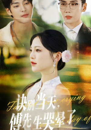 诀别当天傅先生哭晕了短剧（62集情感纠葛短剧高清在线看）