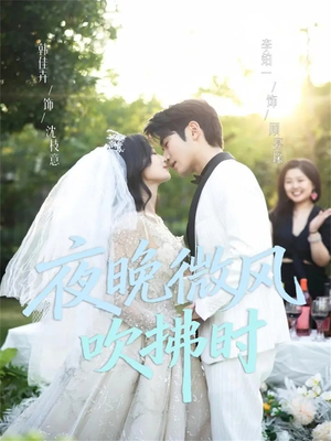 夜晚微风吹拂时短剧（61集暖心治愈短剧完整版免费看）