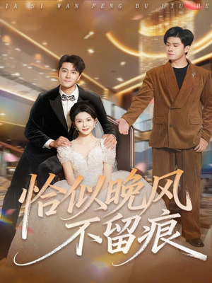 恰似晚风不留痕短剧（61集情感纠葛短剧在线免费看）