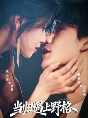 当归遇上野格短剧（66集现代爱情短剧免费看全集无广告）