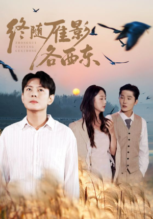 终随雁影各西东短剧（86集情感短剧超清全集看）