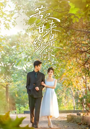 苦尽甘来缘是你短剧（45集都市情感短剧高清无删减全集看）