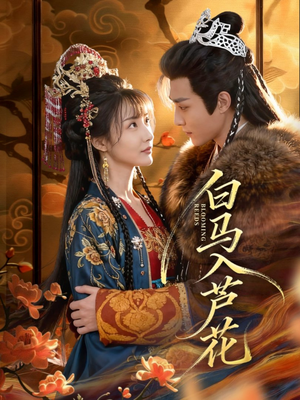 白马入芦花短剧（59集虐恋短剧高清全集免费看）