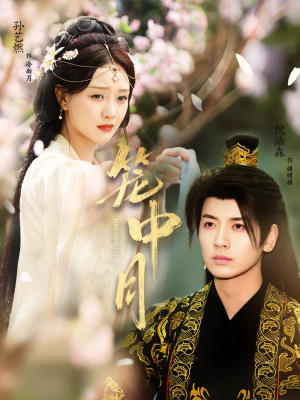 笼中月短剧（65集都市情感短剧在线观看全集）