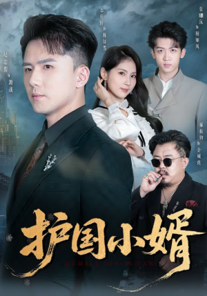 护国小婿短剧（60集历史短剧高清全集在线看）