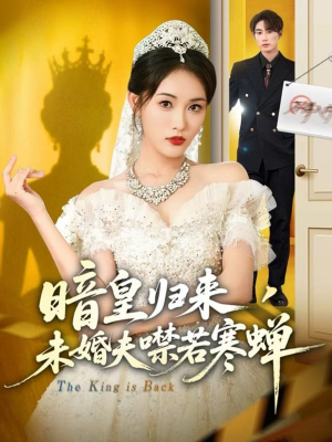 暗皇归来，未婚夫噤若寒蝉短剧（65集权谋短剧超清在线看全集）