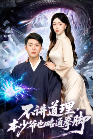 不讲道理，本少爷也略通拳脚短剧（88集武侠短剧在线免费看全集无广告）