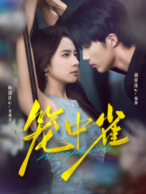 笼中雀短剧（65集都市情感短剧在线看全集不卡顿）