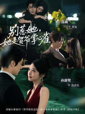 别惹她，她是贺爷掌心雀短剧（69集豪门短剧在线看爽剧）