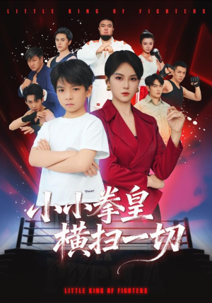 小小拳皇横扫一切短剧（60集动作短剧完整版免费观看）