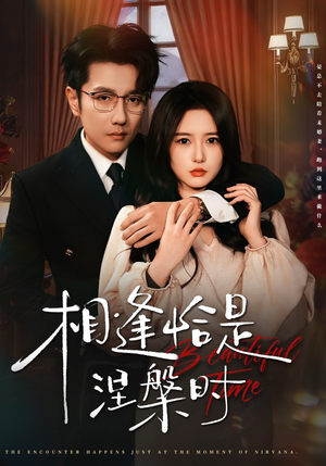 相逢恰是涅槃时短剧（63集爱情短剧高清视频免费看）