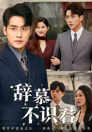 七年情深终成侮短剧（77集情感短剧在线看无删减）