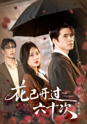 花已开过六十次短剧（72集浪漫短剧在线观看完整版）
