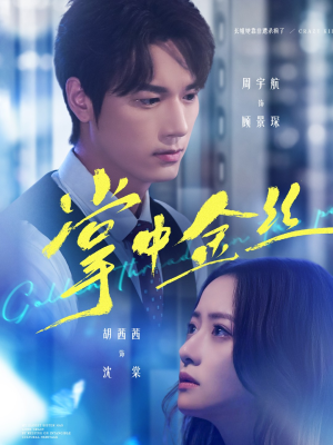 掌中金丝短剧（60集商战短剧超清全集看个够）