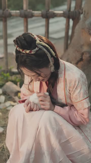 棠梨映雪迟短剧（61集古风短剧完整版免费观看）