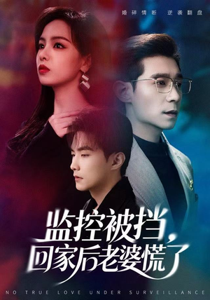 监控被挡，回家后老婆慌了短剧（60集家庭短剧高清全集免费看）