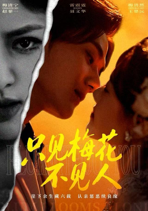 只见梅花不见人短剧（63集古风短剧全集免费观看）