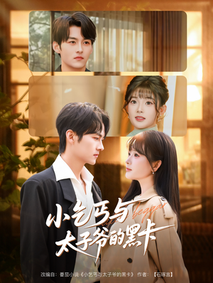 小乞丐与太子爷的黑卡短剧（60集奇幻短剧全集免费观看）