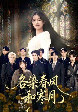 尘埃里的真千金短剧（67集商战短剧完整高清在线观看）