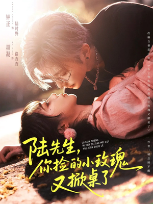 陆先生，你捡的小玫瑰又掀桌了短剧（74集都市甜宠短剧高清在线畅看）