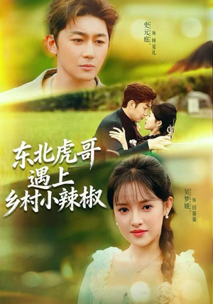 东北虎哥遇上乡村小辣椒短剧（67集乡村爱情短剧完整版免费看）