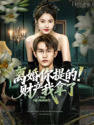 离婚你提的！财产我拿了短剧（63集都市爱情短剧全集高清观看）