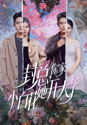 大佬你的牙粘口红了短剧（60集都市爱情短剧在线畅看全集）